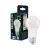 Bellalux LED izzó, körte forma, matt plasztik, E27 foglalat, 13W, 4000K, 1521lm, hideg fehér