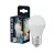 Bellalux LED kisgömb izzó, matt plasztik, E27 foglalat, 4,9W, 6500K, 470lm, hideg fehér