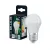 Bellalux LED kisgömb izzó, matt plasztik, E27 foglalat, 6,5W, 4000K, 806lm, hideg fehér