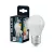 Bellalux LED kisgömb izzó, matt plasztik, E27 foglalat, 6,5W, 6500K, 806lm, hideg fehér