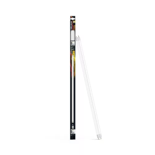 BELLALUX LED T8 fénycső, G13 foglalat, 6,6W, 720lm, 3000K meleg fehér, 603mm hosszú, üveg cső
