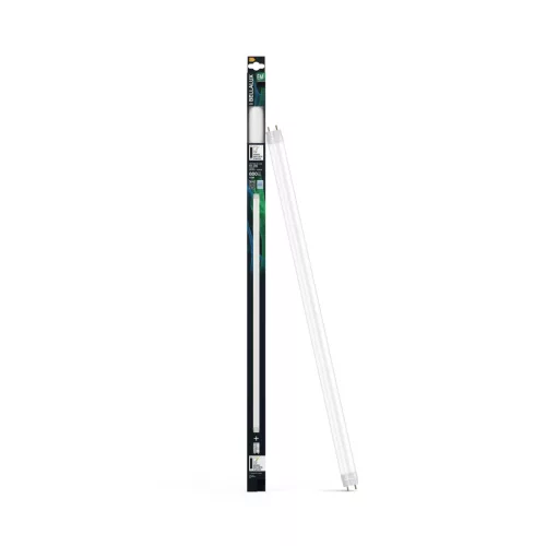 BELLALUX LED T8 fénycső, G13 foglalat, 6,6W, 800lm, 4000K semleges fehér, 603mm hosszú, üveg cső