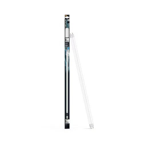 BELLALUX LED T8 fénycső, G13 foglalat, 6,6W, 800lm, 6500K hideg fehér, 603mm hosszú, üveg cső