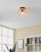 EGLO 43831 AUSNBY beltéri mennyezeti lámpa, fekete színben, E27 foglalattal, max 1X40W teljesítmény, IP20 védelemmel, 2 év garanciával ( EGLO 43831 )