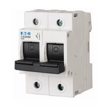   Eaton 248248 Z-SLS/CB/2 Biztosítós szak.kapcs. 2p (üres) 63A, vill.+á.kód