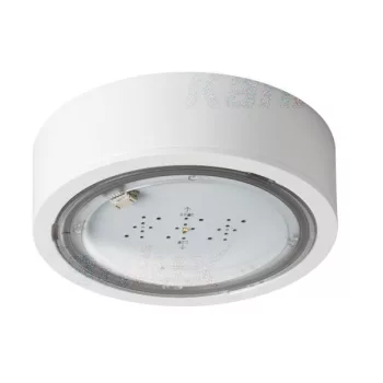   Kanlux 27380 ITECH fehér vészvilágító fali / mennyezeti lámpa LED IP65 hideg fehér 2W 245lm (Kanlux 27380)