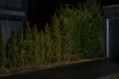 LEDVANCE Endura GARDEN LED fényvető kültéri sötétszürke, 20W, 3000K, IP65, 1700lm