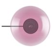 LEDVANCE asztali lámpa beltéri, IP20, 250x245mm, E27 foglalat, Bubble TABLE 250x245 Glass Pink