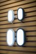 LEDVANCE LED BULKHEAD 6W 4000K White, kültéri, fehér Por- és páramentes fali lámpa, 5.5 W, foglalat: LED modul, IP54 védelem, 4000 K színhőmérséklet, 450 lm fényerő, 3 év garancia 4058075271586