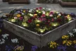 LEDVANCE SMART+ Garden 9 kerti lámpa, okos WiFi, hangvezérelhető, 2,5W, IP65, RGB állítható, 380lm