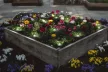 LEDVANCE SMART+ Garden 18 kerti lámpa, okos WiFi, hangvezérelhető, 4W, IP65, RGB állítható, 680lm