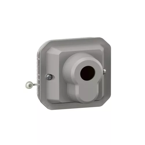 Legrand Plexo 55 069535L kulcsos kapcsoló, IP55, szürke