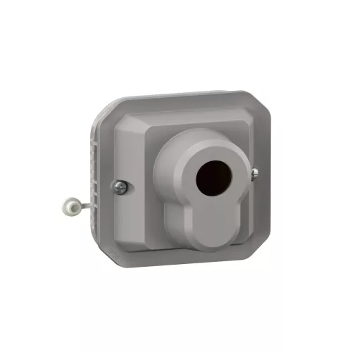 Legrand Plexo 55 069705L kulcsos kapcsoló, IP21, szürke