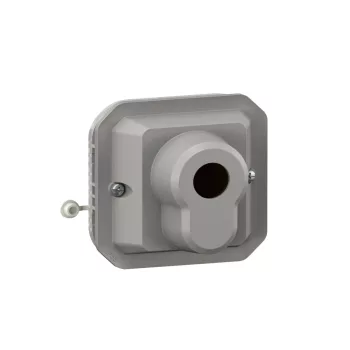 Legrand Plexo 55 069706L kulcsos kapcsoló, IP55, szürke