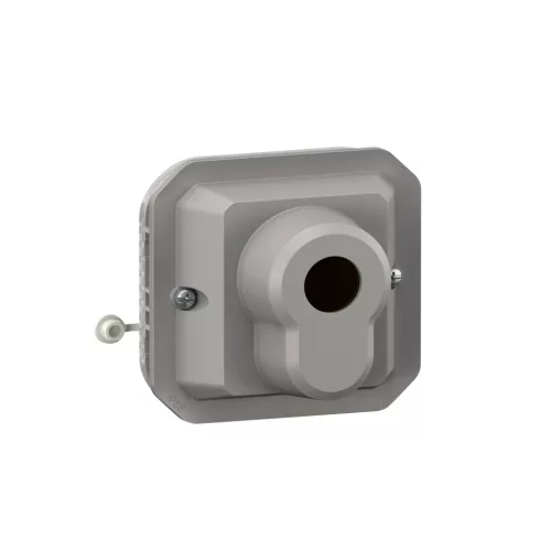 Legrand Plexo 55 069706L kulcsos kapcsoló, IP55, szürke