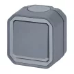 Legrand Plexo 55 069726L kétpólusú kapcsoló (102), 10 A, IP55, szürke, falon kívüli