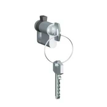   Legrand Plexo 55 69795 vízmentes IP55 Zárbetét kulcsos kapcsolókhoz, Legrand 69795