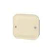 Legrand Plexo 55 069847L vízmentes IP55 vakfedél, elefántcsont burkolattal, ( szerelhető kivitel ), Legrand 069847L