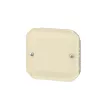 Legrand Plexo 55 069847L vakfedél, IP55, elefántcsont