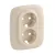 Legrand 754956 Valena Allure 2x2P+F aljzat monobloc burkolat + kerettel, Elefántcsont ( Legrand 754956 )