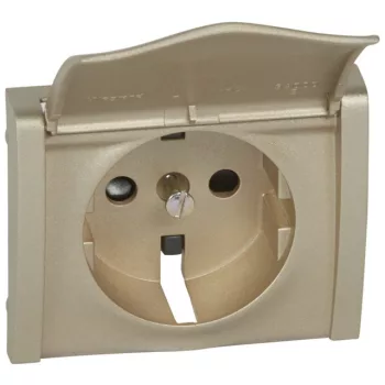   Legrand 771422 Galea Life 2P+F burkolat csapófedéllel titánium ( Legrand 771422 )