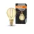 OSRAM Vintage 1906 LED kisgömb forma, üveg, átlátszó arany E14, 2,5W, 220lm, 2400K extra meleg fehér
