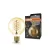 OSRAM Vintage 1906 LED Globe izzó arany üveg, E27 foglalat, 7W, 2200K, 600lm, 80mm átmérő