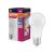 OSRAM Value LED izzó, classic forma, matt búra, E27 foglalat, 13W, 1521lm, 6500K hideg fehér