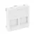 Obo Bettermann 6119202 DTG-2A RW1 adatátviteli csatlakozó 2 db  A típusú csatlakozó modulh 45x45mm hófehér