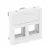 Obo Bettermann 6119280 DTG-02C RW1 Adatátviteli  modul tartó 2 db C típusú csatl.modulhoz 45x45mm hófehér