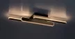 Rabalux Sindri 71051 mennyezeti lámpa, fekete, beépített LED 18 W, 950 lm, 3000, 4000 K, IP20
