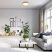 Rabalux Leana2 71143 mennyezeti lámpa, bükk, beépített LED 12 W, 730 lm, 3000 K, IP20