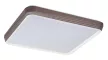 Rabalux Druzor 71166 mennyezeti lámpa, barna, beépített LED 40 W, 2100 lm, 3000 K, IP20