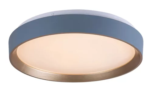 Rabalux Liatris2 71185 mennyezeti lámpa, szürke, beépített LED 24 W, 1200 lm, 3000 K, IP20