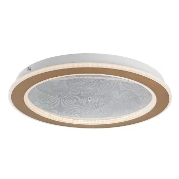 Rabalux Efrael 71281 mennyezeti lámpa, arany, beépített LED 24 W, 1700 lm, 3000-6500 K, IP20