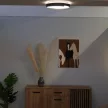 Rabalux Laleh 71305 mennyezeti lámpa, fekete, beépített LED 24 W, 1500 lm, 3000-6500 K, IP20