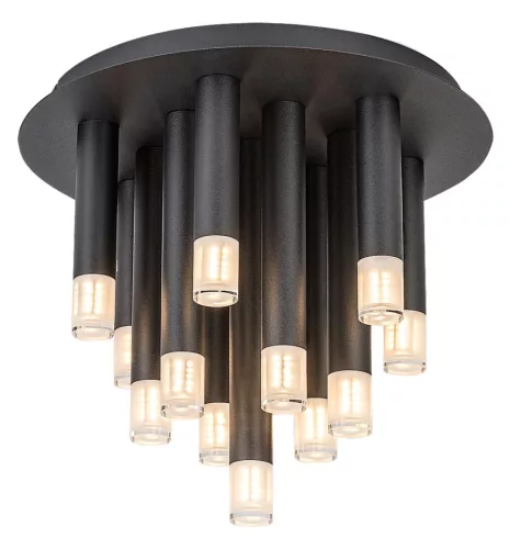 Rabalux Ramira 71354 mennyezeti lámpa, fekete, 13x G9 (max 5 W) foglalat, IP20