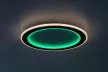 Rabalux Golwen 71406 mennyezeti lámpa, fekete, beépített LED 22 W, 1550 lm, 3000-6500 K, IP20