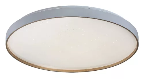 Rabalux Zerava 71453 mennyezeti lámpa, arany, beépített LED 60 W, 4100 lm, 3000-6500 K, IP20