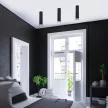 Rabalux Senobia 73031 mennyezeti lámpa, fekete, 1x GU10 (max 35 W) foglalat, IP20