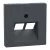Schneider Electric Merten 298014 fedlap, döntött kivitelű 2xRJ45 aljzathoz, feliratozható  antracit - System-M (M-Plan / M-Pure / M-Smart)