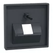 Schneider Electric Merten 298314 fedlap, döntött kivitelű 1xRJ45 aljzathoz, feliratozható  antracit - System-M (M-Plan / M-Pure / M-Smart)