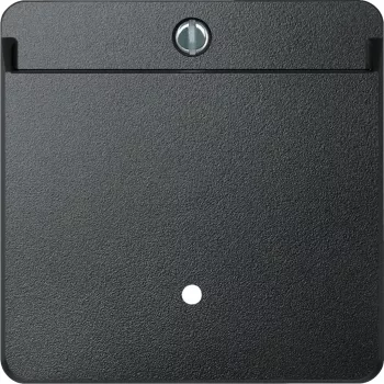   Schneider Electric Merten 315414 fedlap hotelkártya kapcsolókhoz  antracit - System-M (M-Plan / M-Pure / M-Smart)