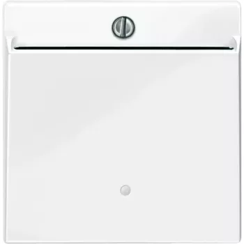   Schneider Electric Merten 315619 fedlap hotelkártya kapcsolókhoz  polárfehér - System-M (M-Plan / M-Pure / M-Smart)