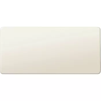   Schneider Electric Merten 395500 üres (fehér) szimbólum kapcsolókhoz és nyomókhoz