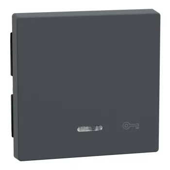   Schneider Electric Merten 430714 billentyű kulcsjellel, jelzőfényes funkciókhoz antracit - System-M (M-Plan / M-Pure / M-Smart)