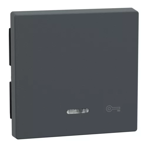 Schneider Electric Merten 430714 billentyű kulcsjellel, jelzőfényes funkciókhoz antracit - System-M (M-Plan / M-Pure / M-Smart)