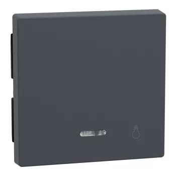 Schneider Electric Merten 430914 Billentyű, lámpajellel, fényjelzős funkciókhoz, System-M, antracit