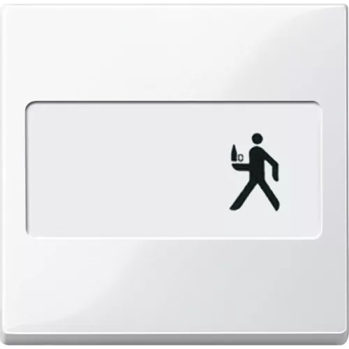 Schneider Electric Merten 432319 feliratozható billentyű polárfehér - System-M (M-Plan / M-Pure / M-Smart)