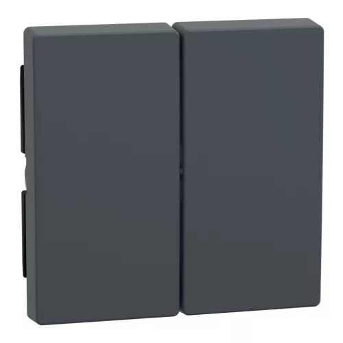Schneider Electric Merten 433514 Dupla billentyű, System-M, antracit